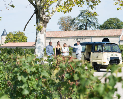 Château Latour-Martillac — photo 6