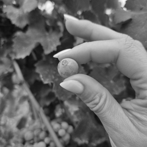 20250819_143450 copie