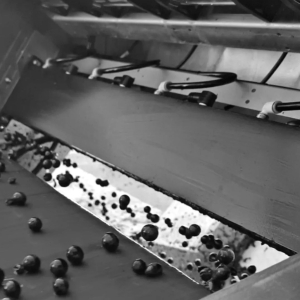 Screenshot_20231107_171634_Instagram