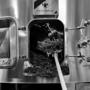 Screenshot_20231107_171653_Instagram